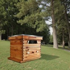 Bee Hive Starter Kit 10 Frame, Langstroth Beehive With Observation Window -Furniture GUEST 064667b0 7d58 447b ba99 8fcb88699f8a