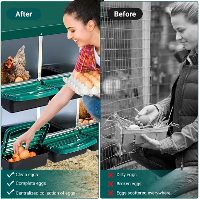 Hole Chicken Nesting Boxes With Lockable Lid - Metal Laying Box For Hens, Secure Egg Collection & Protection, Easy Access 8 Hole Chicken Nesting Boxes With Lockable Lid - Metal Laying Box For Hens, Secure Egg Collection & Protection, Easy Access - Image 6