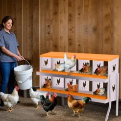 Chicken Nesting Box,Chicken Egg Laying Box With Compartments, Roll Away Eggs Laying Boxes, Nesting Boxes, Indoor & Outdoor Use,Easy Egg Collection -Furniture GUEST 32a698a4 d920 4285 b0ab d61b6de7d935