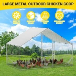 Chicken Coop, Chicken Run - Large Metal With Cover, Double Door, Walk-in Pen For Outdoor Farm Yard (6.6'L X 9.8'W X 6.6'H) -Furniture GUEST 4ce89e5e 77d5 4edd 8de6 8f372c9d80fc