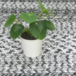 Washable Soft Modern Area Rugs 11 Washable Soft Modern Area Rugs -Furniture GUEST 52e9e41a 5240 4f05 81d9 d960f7fdc3df