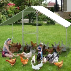Chicken Coop, Chicken Run - Large Metal With Cover, Double Door, Walk-in Pen For Outdoor Farm Yard (6.6'L X 9.8'W X 6.6'H) -Furniture GUEST 6732847b 046a 4d7f bec9 b856aad2fbf9