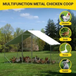 Chicken Coop, Chicken Run - Large Metal With Cover, Double Door, Walk-in Pen For Outdoor Farm Yard (6.6'L X 9.8'W X 6.6'H) -Furniture GUEST 7b7f3ee2 6379 409a 80e7 c07fda264ceb