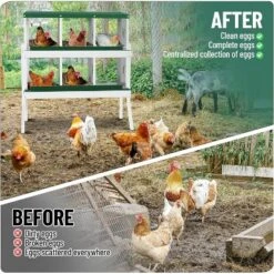 Chicken Nesting Box With Roll Out Egg Tray, Heavy Duty Galvanized Steel, Rustproof & Ventilated Laying Box For Chickens/Ducks, Wall Mount -Furniture GUEST 81df1869 3c74 434a a8ce 6b15ba7dcc91