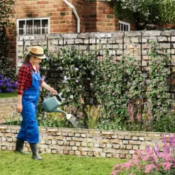 Elegant 2 Rack Baroque Iron Trellis For Climbing Plants, 1.6FT Tall Rustproof Garden Support For Roses, Vegetables, And Indoor Potted Plants -Furniture GUEST 826dff6c 5b02 4b40 b4d3 f62226bae82c