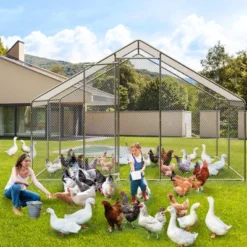 Chicken Coop, 13.1ft Large Metal Chicken Run With Cover - Spire Roof, Lock For Outdoor Backyard Farm, Duck Rabbit -Furniture GUEST 8ce56ed7 45f6 4eea 9e64 546882b27d82