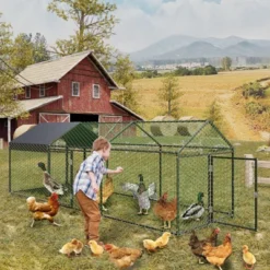 Chicken Coop Walk In Run - Galvanized Large Poultry Cage With Water-Resistant Cover, Outdoor Hen House For Backyard Farm -Furniture GUEST db9b4560 3f8a 4163 9e8e a11986a2d408